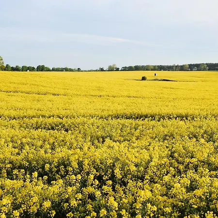 A1 - Zwei Bäder&terrasse Im Pine Hill Apartment