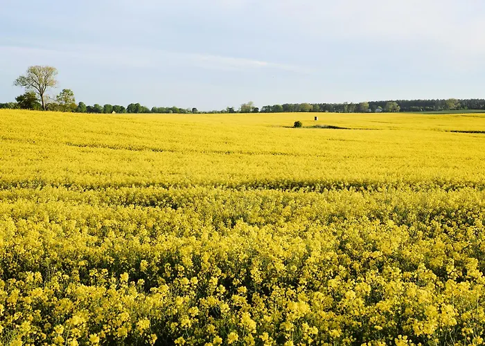 A1 - Zwei Baeder & Terrasse Im 