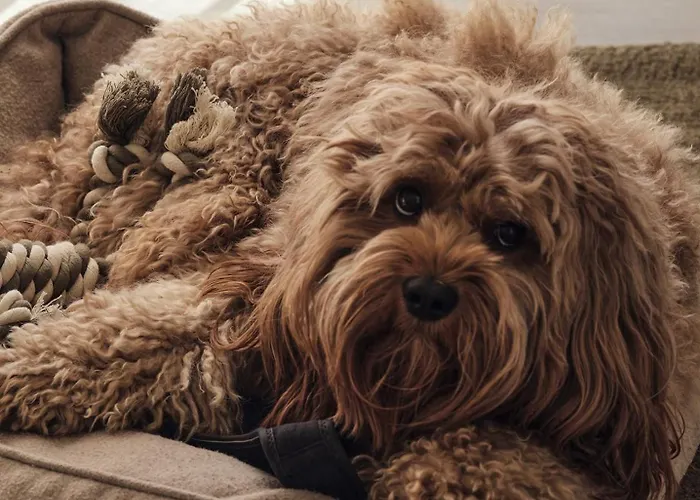 A1 - Zwei Baeder & Terrasse Im 